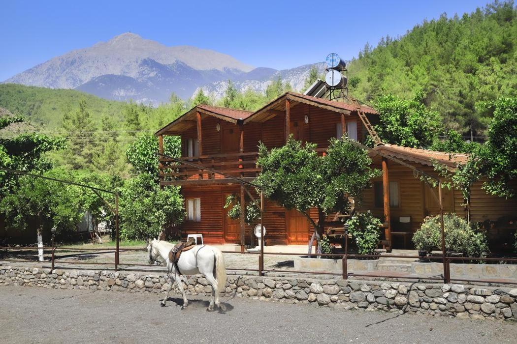 Oranj Ranch Hotel Кемер Екстер'єр фото