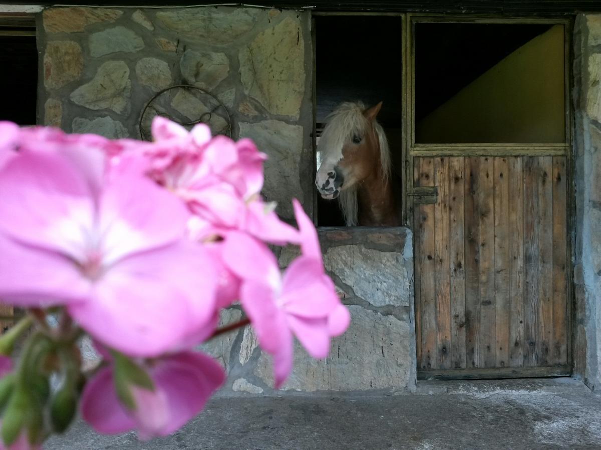Oranj Ranch Hotel Кемер Екстер'єр фото