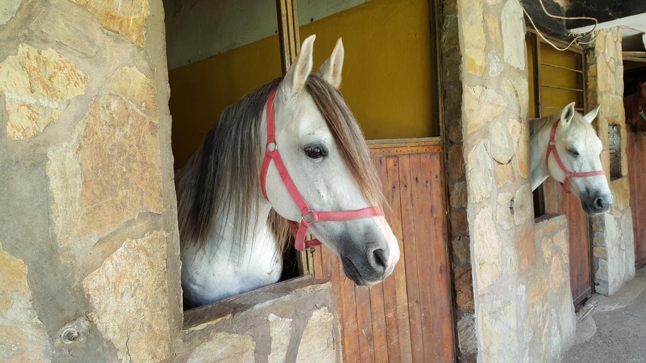 Oranj Ranch Hotel Кемер Екстер'єр фото
